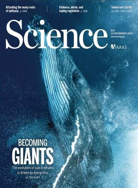 Science – 13 December 2019 Cover