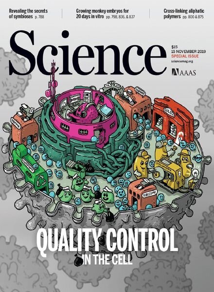 Science – 15 November 2019 Cover