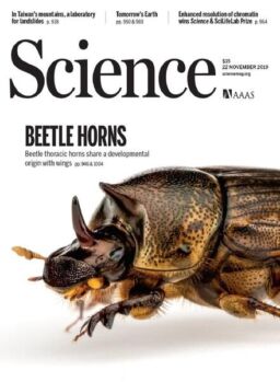 Science – 22 November 2019