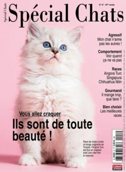 Special Chats – janvier 2020