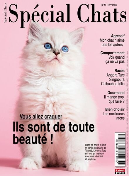 Special Chats – janvier 2020 Cover