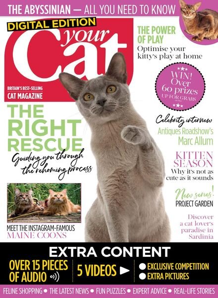 Your Cat – March 2019 Cover
