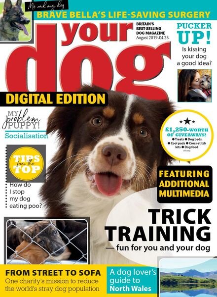 Your Dog – August 2019 Cover
