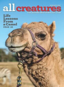 All Creatures – March 2020