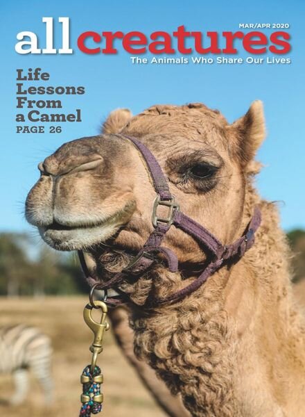 All Creatures – March 2020 Cover
