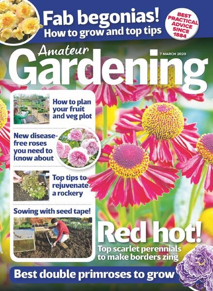 Amateur Gardening – 07 March 2020 Cover
