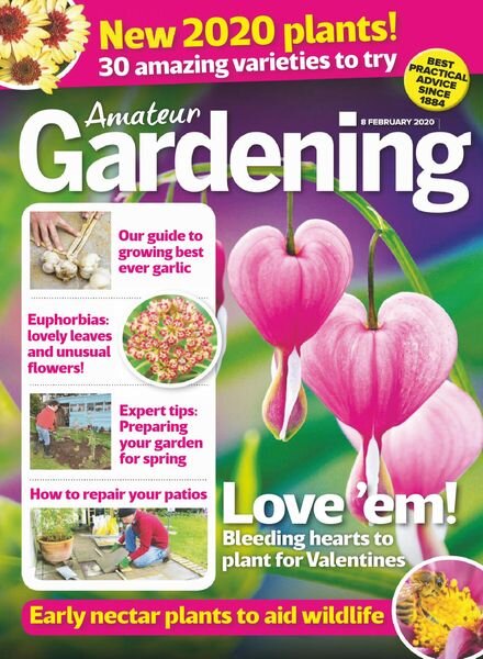 Amateur Gardening – 08 February 2020 Cover
