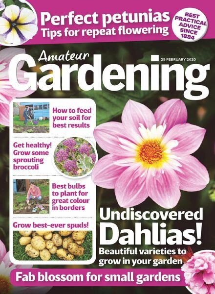 Amateur Gardening – 29 February 2020 Cover