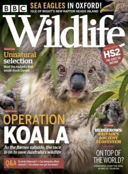 BBC Wildlife – April 2020