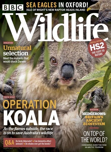 BBC Wildlife – April 2020 Cover