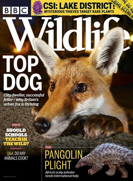 BBC Wildlife – March 2020 Cover