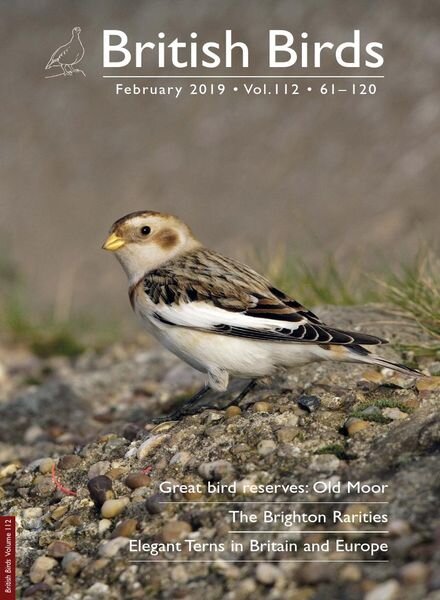 British Birds – February 2019 Cover