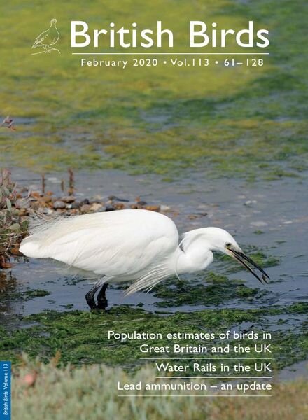 British Birds – February 2020 Cover