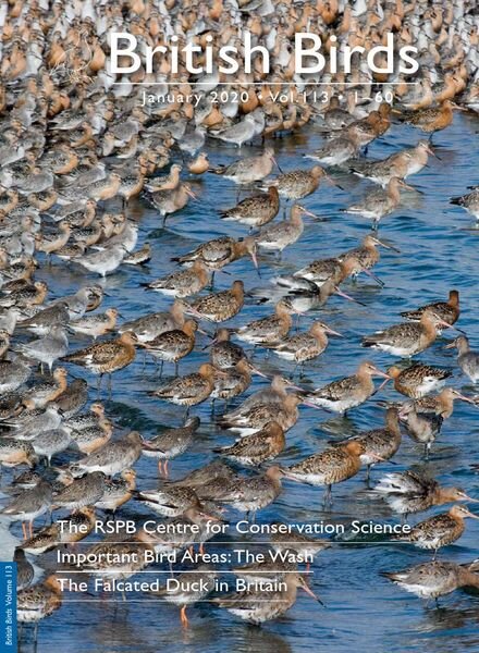 British Birds – January 2020 Cover