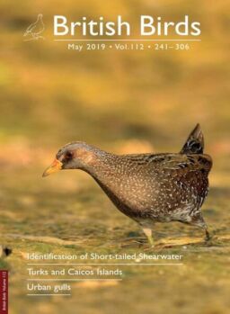 British Birds – May 2019