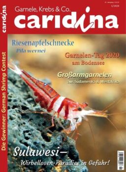Caridina – Nr.1, 2020