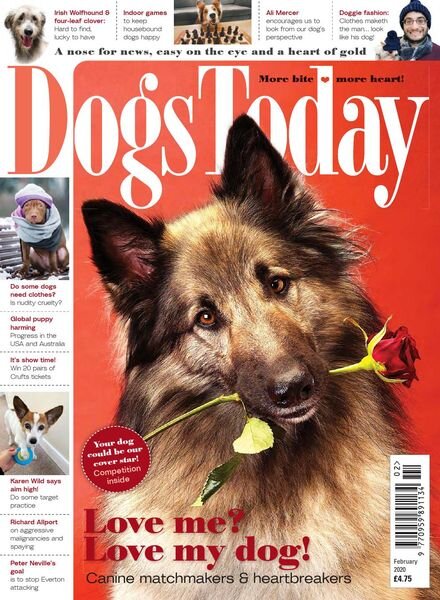 Dogs Today UK – February 2020 Cover