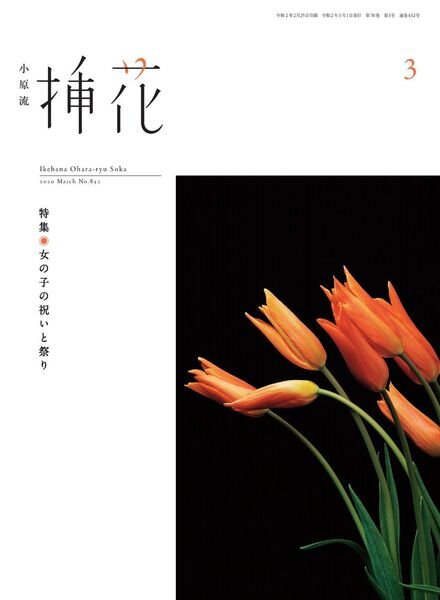 eBooks – 2020-03-01 Cover