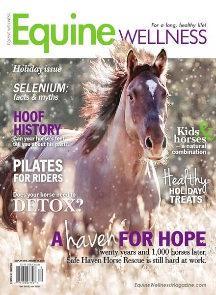 Equine Wellness Magazine – December 2015 – January 2016 Cover