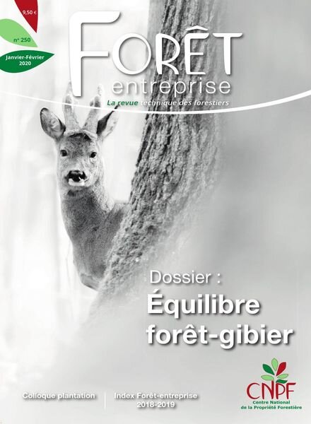 Foret Entreprise – janvier 2020 Cover