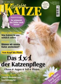 Geliebte Katze – Februar 2020