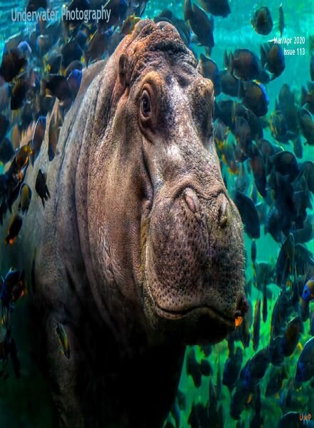 Underwater Photography – March-April 2020 Cover