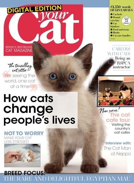 Your Cat – March 2020 Cover