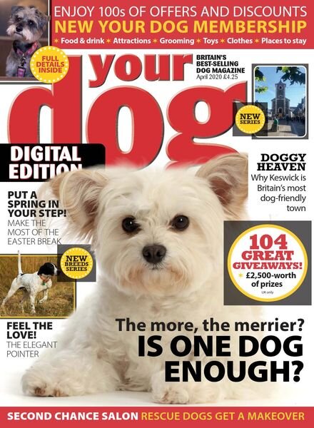 Your Dog – April 2020 Cover