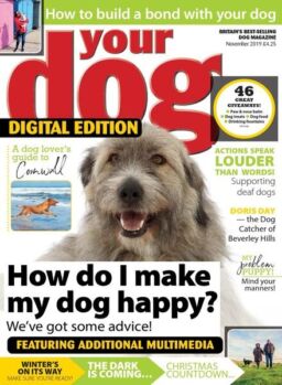 Your Dog – November 2019