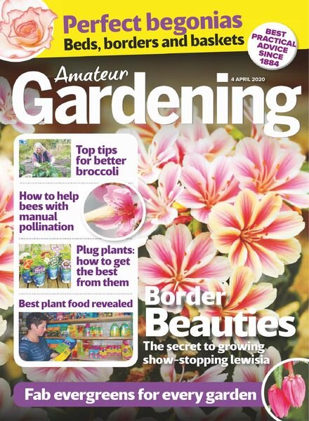 Amateur Gardening – 04 April 2020 Cover