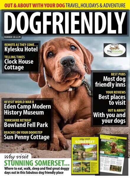 Dog Friendly – Issue 58 – March-April 2020 Cover