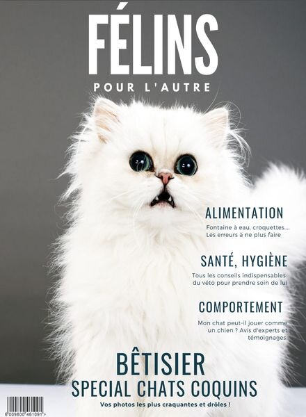 Felins Pour L’autre – N 1, 2020 Cover