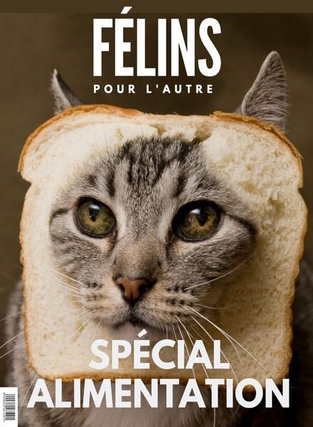 Felins Pour L’autre – N 2, 2020 Cover