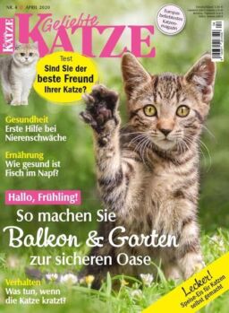 Geliebte Katze – Marz 2020