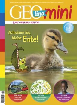 GEOmini – April 2020
