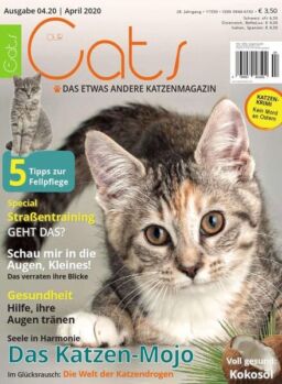 Our Cats – April 2020