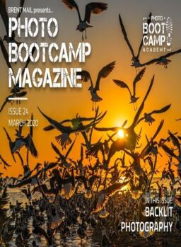 Photo BootCamp – March 2020