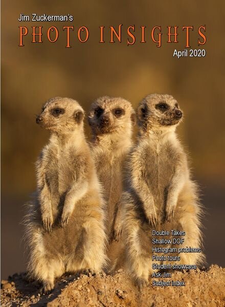 Photo Insights – April 2020 Cover