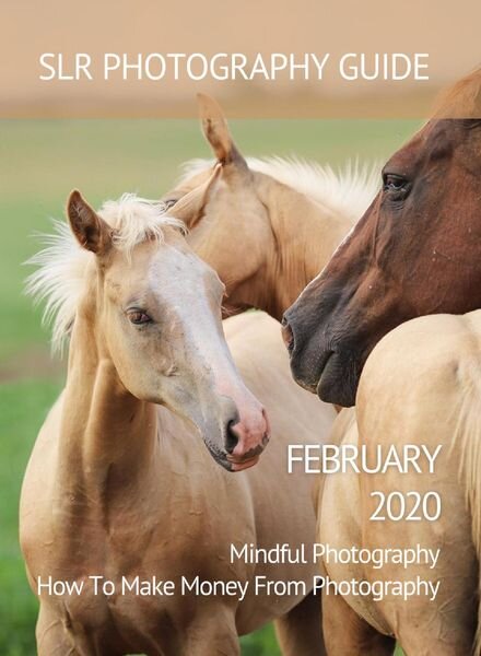 SLR Photography Guide – February 2020 Cover