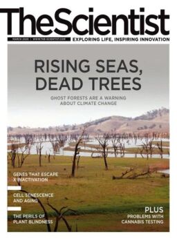 The Scientist – March 2020
