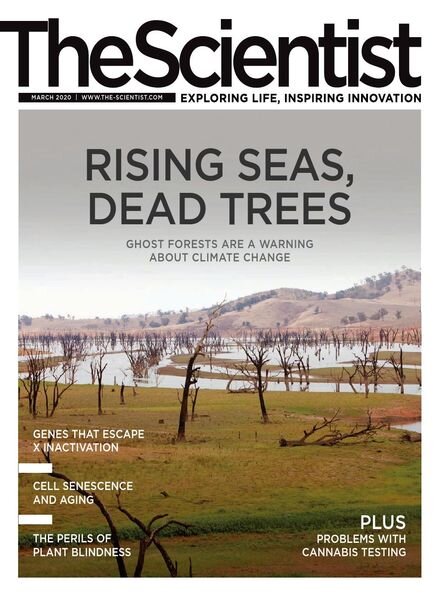 The Scientist – March 2020 Cover