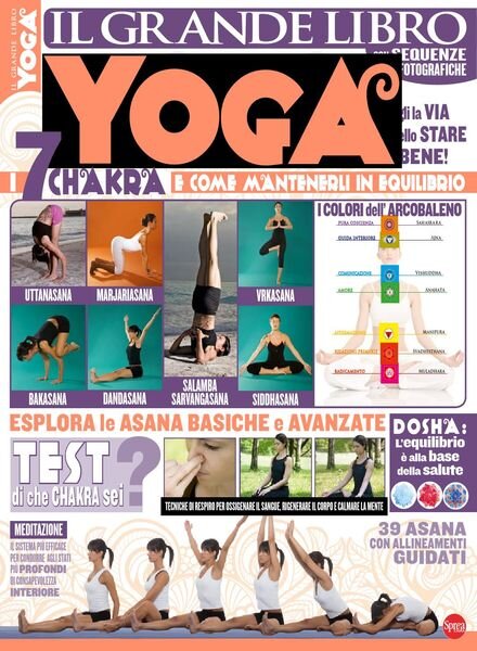 Vivere lo Yoga Speciale – Il Grande Libro Yoga – Agosto-Settembre 2017 Cover
