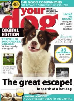 Your Dog – May 2020
