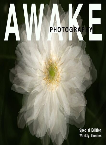 Awake Photography – Special Edition Weekly Themes 2020 Cover