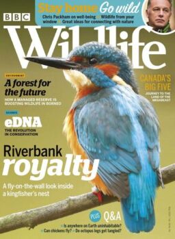 BBC Wildlife – May 2020
