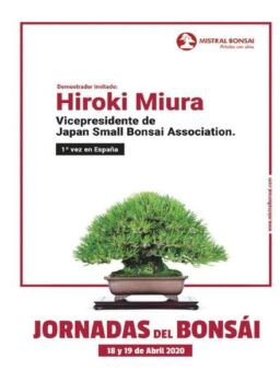 Bonsai Pasion – abril 2020