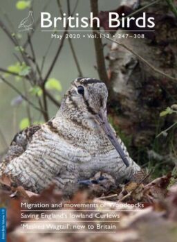 British Birds – May 2020
