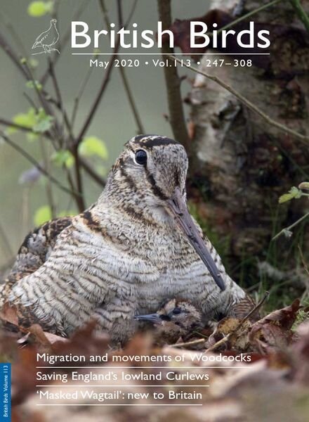 British Birds – May 2020 Cover