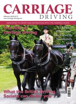 Carriage Driving – February 2016