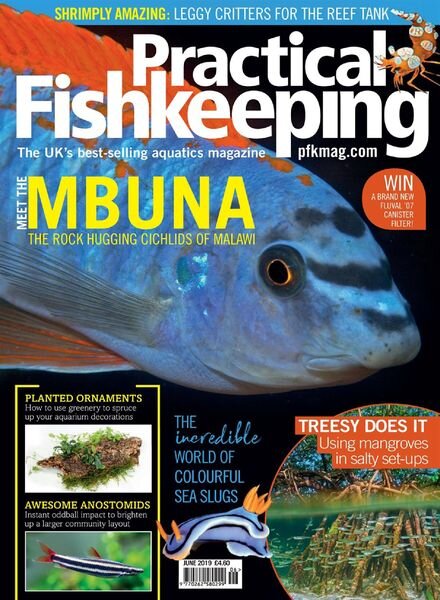 Practical Fishkeeping – June 2019 Cover